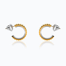 Load image into Gallery viewer, ALMA TEXTURED VERMEIL EARRINGS
