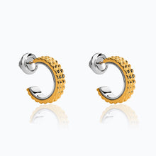 Load image into Gallery viewer, ALMA TEXTURED VERMEIL EARRINGS
