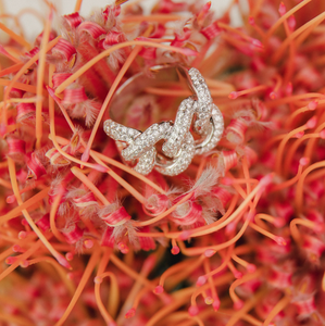 Matthia's & Claire Precious Diamond Links Ring